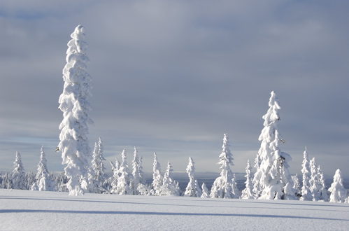 stenfjellet